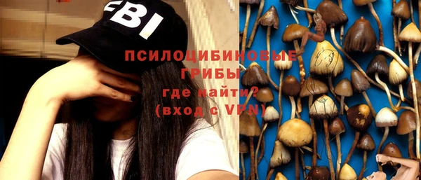 ГАЛЛЮЦИНОГЕННЫЕ ГРИБЫ Надым