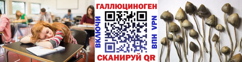 Галлюциногенные грибы Psilocybine cubensis Шумерля