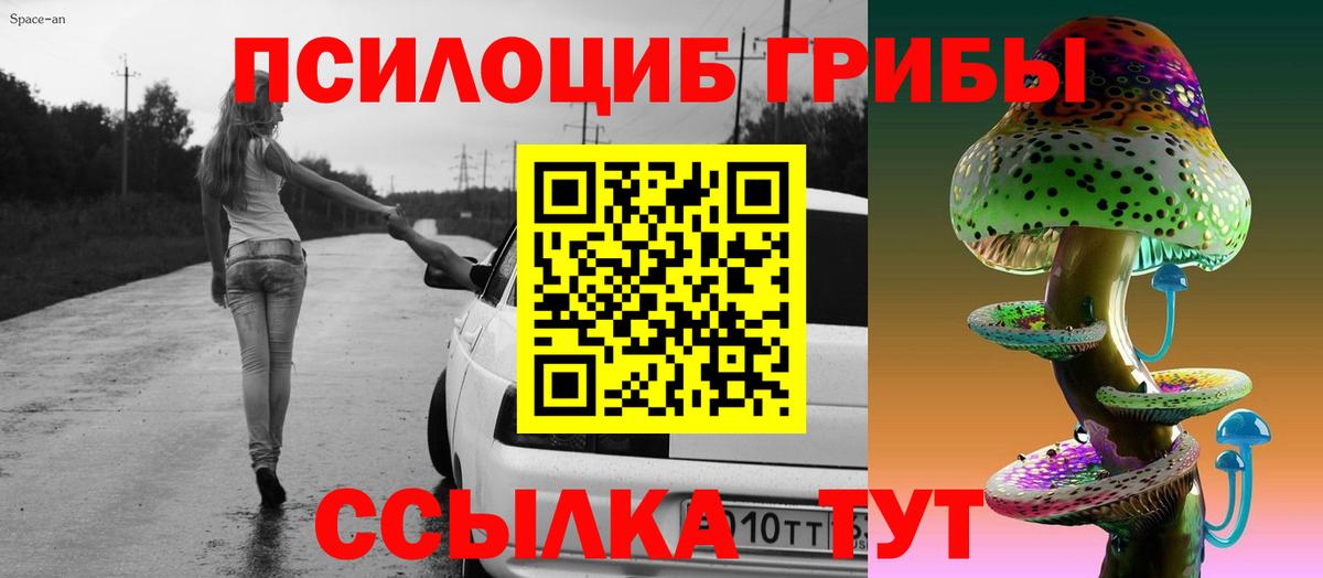 Псилоцибиновые грибы Psilocybe  Вход с VPN  Галлюциногенные грибы Psilocybe  Шумерля 